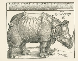 Nosorożec autorstwa Albrecht Dürer or Duerer