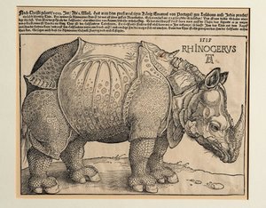 Nosorożec autorstwa Albrecht Dürer or Duerer