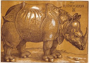 Nosorożec autorstwa Albrecht Dürer or Duerer