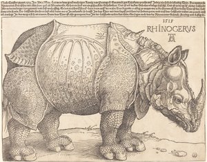 Nosorożec autorstwa Albrecht Dürer