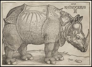 Nosorożec, 1515 autorstwa Albrecht Dürer