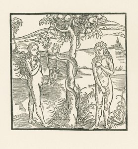Upadek. Ilustracja do "Der Ritter von Turn", ok. 1493-93 (drzeworyt) autorstwa Albrecht Dürer or Duerer