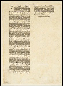 Verso Apokalipsy, Święty Michał walczący ze smokiem, 1497 autorstwa Albrecht Dürer