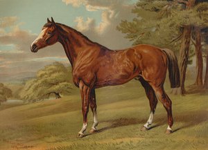 "Stilton myśliwy", ok. 1879. autorstwa Aldfred Sheldon Williams