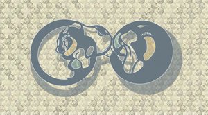 Streszczenie: „Feline Infinity” autorstwa Alejandra Winkhaus