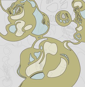 Płynne formy organiczne autorstwa Alejandra Winkhaus