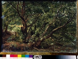 "Drzewa nad rzeką" Obraz Aleksandra Iwanowa (1806-1858) 1837 Państwowe Muzeum Rosyjskie, Sankt Petersburg autorstwa Aleksandr Andreevich Ivanov