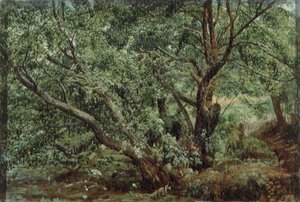 Drzewa nad strumieniem autorstwa Aleksandr Andreevich Ivanov