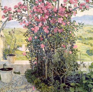 Dolina w Umbrii, lata 1910. autorstwa Aleksandr Jakovlevic Golovin