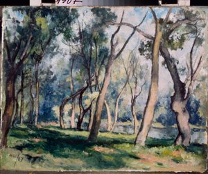 Gaj - Praca Aleksandra Wasiljewicza Szewczenki (Aleksander Czewczenko) (1883-1948), olej na tekturze