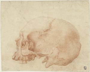 Badanie czaszki autorstwa Alessandro Allori