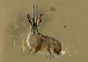 Fantastyczne potwory i stworzenia, kryptozoologia: przedstawienie Jackalope, legendarne zwierzę mi lievre mi antelope (mityczne zwierzę zając z rogami antylopy) - rysunek Alessandro Lonati, 2012 autorstwa Alessandro Lonati