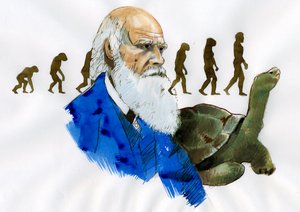 Portret Karola Darwina - Portret angielskiego przyrodnika Karola Darwina (1809-1882) Ilustracja