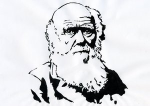 Portret Karola Darwina - Portret angielskiego przyrodnika Karola Darwina (1809-1882) Ilustracja autorstwa Alessandro Lonati