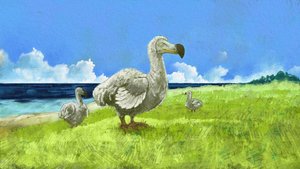 Przedstawienie wymarłego ptaka dodo (ilustracja) autorstwa Alessandro Lonati