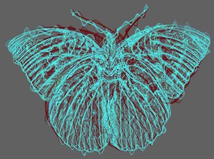 motyl 8,2020, (media mieszane) autorstwa Alex Caminker