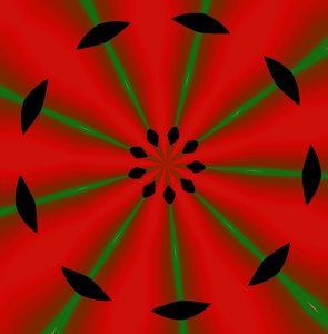 kwiaty #2,2019,(gradient) autorstwa Alex Caminker
