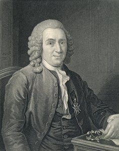 Retrato de Carolus Linnaeus polonês autorstwa Alexander (after) Roslin