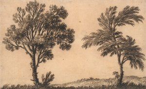 Studium dwóch wierzb autorstwa Alexander Cozens