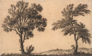 Studium dwóch wierzb autorstwa Alexander Cozens