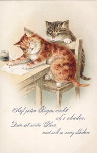 Humorystyczna pocztówka z kotem (kolorowa litografia) autorstwa Alexander Francis (after) Lydon