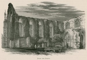 Bolton Priory, z północy autorstwa Alexander Francis Lydon