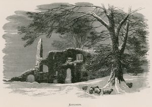 Opactwo Kirkstall, kuchnia autorstwa Alexander Francis Lydon