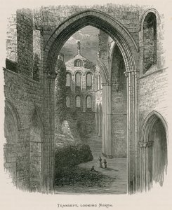 Opactwo Kirkstall, Transept, patrząc na północ autorstwa Alexander Francis Lydon