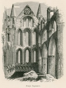 Opactwo Whitby, północna transept autorstwa Alexander Francis Lydon