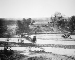 Kryty wagon przekraczający Tecolate Creek, Nowy Meksyk autorstwa Alexander Gardner