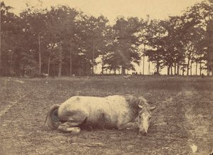 Czy to śmierć - pole bitwy pod Antietam, wrzesień 1862, 1862. autorstwa Alexander Gardner