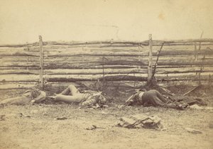 Widok w polu, Po zachodniej stronie Hagerstown Road, Po bitwie pod Antietam, ..., 1862. autorstwa Alexander Gardner