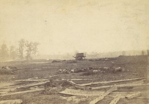 Widok na pole bitwy pod Antietam, wrzesień 1862, 1862. autorstwa Alexander Gardner