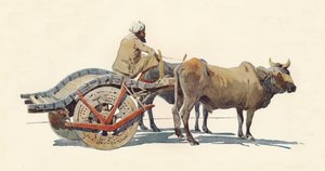 Wóz Bullock, Jodhpur, ok. 1880 1905. autorstwa Alexander Henry Hallam Murray