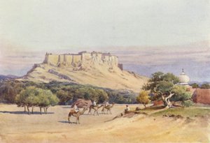 Jodhpur, widok ogólny fortu autorstwa Alexander Henry Hallam Murray