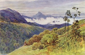 Poranne mgły w dolinie Mahaweli Ganga (kolor lito) autorstwa Alexander Henry Hallam Murray