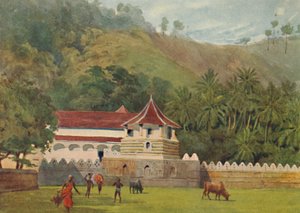 Świątynia Zęba, Kandy - Zewnątrz, c1880 1905. autorstwa Alexander Henry Hallam Murray