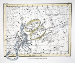 Konstelacje (tabl. XIX) Waga i Skorpion, z „Atlasu niebieskiego” Aleksandra Jamiesona, wyd. Londyn 1822 (ręcznie kolorowane grawerowanie)