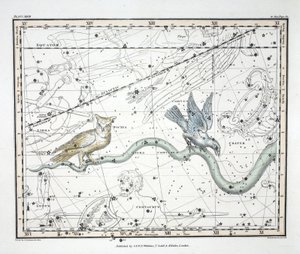 Konstelacje (tabl. XXVII) Hydra Continua, Crater, Covus, Centaurus et Lupus, z „Atlasu niebieskiego” Alexandra Jamiesona, wyd. Londyn 1822 (ręcznie kolorowane grawerowanie) autorstwa Alexander Jamieson