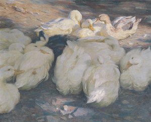 W wieczornym słońcu autorstwa Alexander Koester