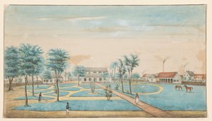 Widok na plantację cukru Catharina Sophia autorstwa Alexander Ludwich Brockmann