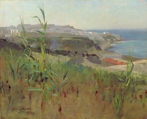 Tanger z Wydm, 1892