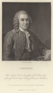 Linneusz autorstwa Alexander Roslin