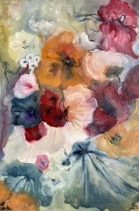 Kwitną kolorowe maki autorstwa Alexandra Higgins