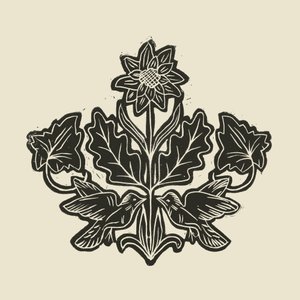 Eleganckie ptaki w kwiatowe wzory autorstwa Alexandra Weise