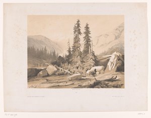 Górski krajobraz ze świerkami i kozami górskimi Sapiny (tytuł na obiekcie) autorstwa Alexandre Calame