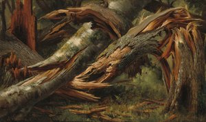 Zwalone drzewo, 18391845.
