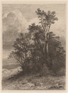 Gaj Drzew autorstwa Alexandre Calame