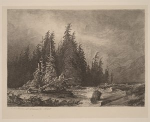 Sosny górskie autorstwa Alexandre Calame