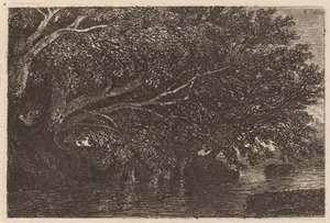 Drzewa zwisające nad stawem autorstwa Alexandre Calame